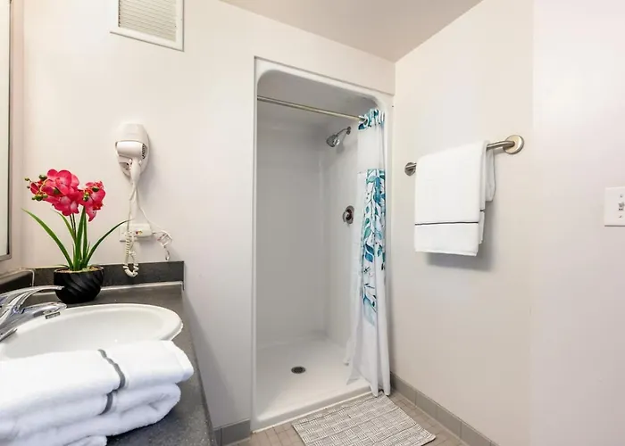 Downtown 9bd - Sleep 18 - Appartement